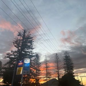 Meet your Posher, Skye